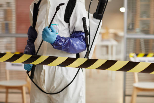 Professional Sewage Cleanup technician working in Grove City, OH